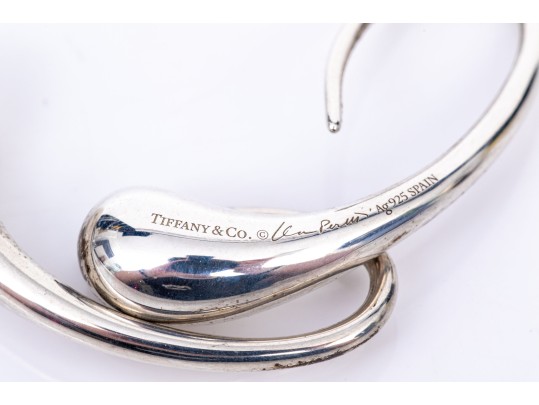 Tiffany & Co. Sterling Silver Elsa Peretti Striking Teardrop Earrings