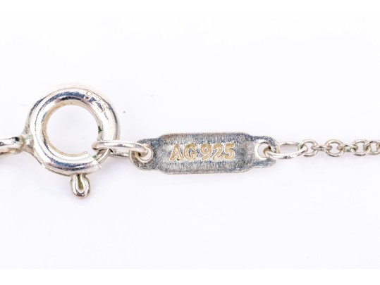 Tiffany & Co. Sterling Silver Lucky Horseshoe Centered Necklace
