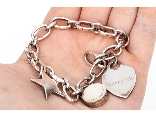 Tiffany & Co. Sterling Silver Amazing Convertible Charm Link Style Bracelet