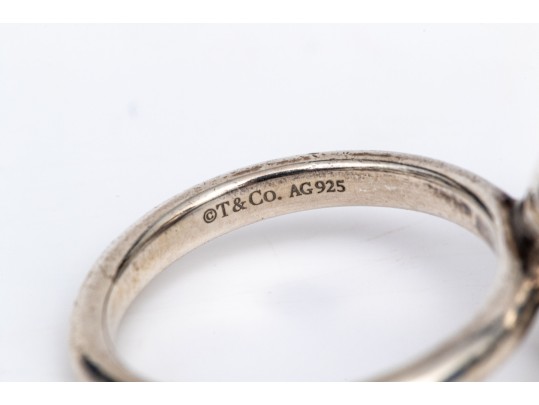 Tiffany & Co. Sterling Silver Fabulous 