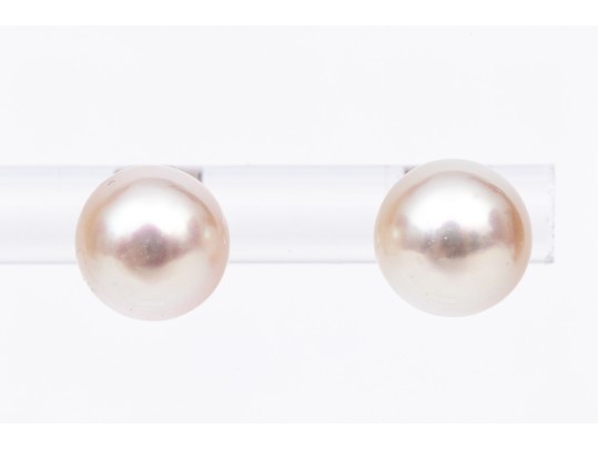 18k White Gold Lovely 7.5 Mm Cultured Pearl Earrings