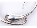 Tiffany & Co. Sterling Silver Elsa Peretti Striking Teardrop Earrings