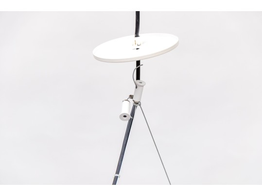 Established And Sons 