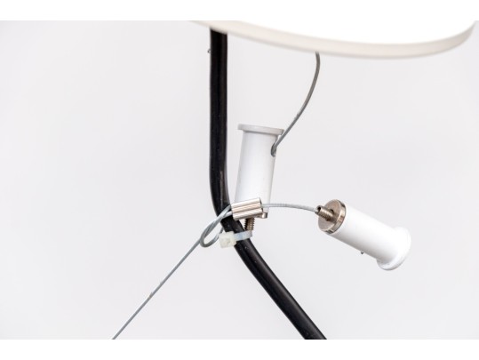 Established And Sons 