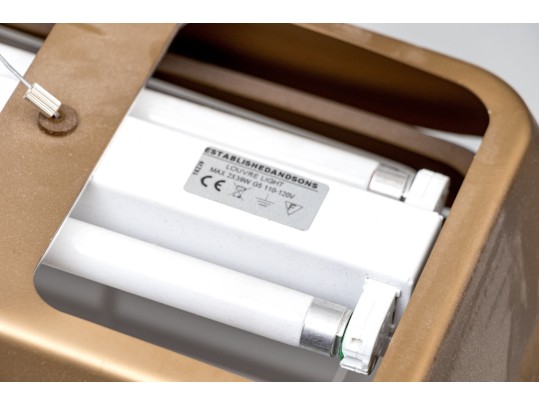 Established And Sons 