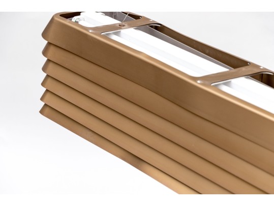 Established And Sons 