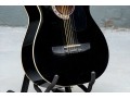 Rogue Acoustic Six String Guitar On Stand