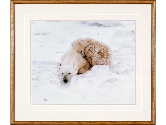 Thomas D. Mangelsen (American, B.1948) Signed Photograph, Polar Bear Cub And Mother