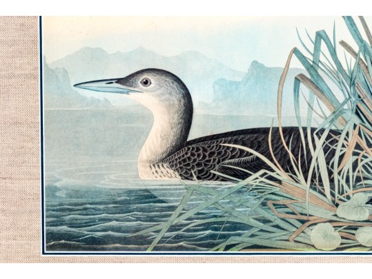 John James Audubon Antique Hand-Colored Print, 