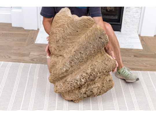 Massive Hand-Decorated Plaster Faux Shell Sculpture