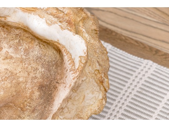 Massive Hand-Decorated Plaster Faux Shell Sculpture