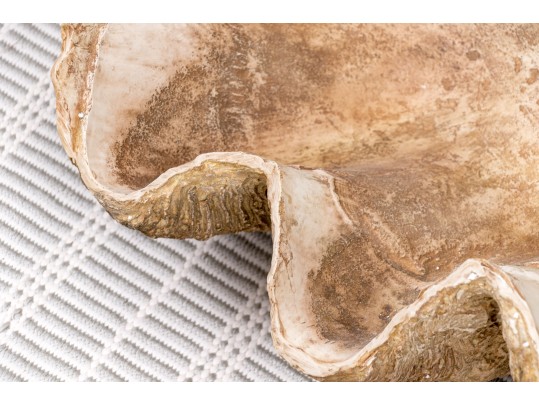 Massive Hand-Decorated Plaster Faux Shell Sculpture
