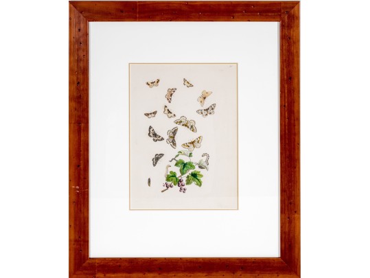 Set Of Three Antique Hand-Colored Botanicals