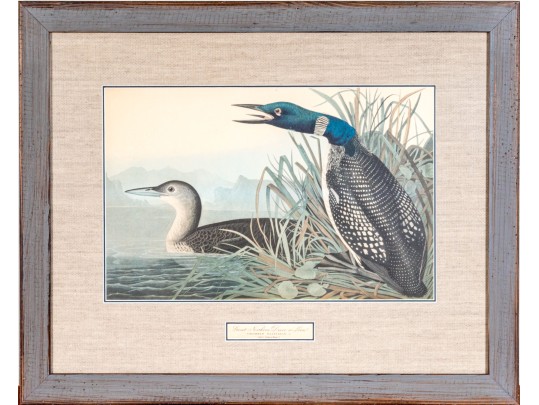 John James Audubon Antique Hand-Colored Print, 