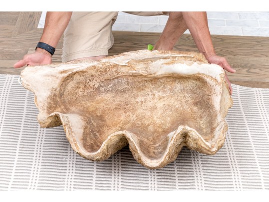 Massive Hand-Decorated Plaster Faux Shell Sculpture