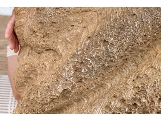 Massive Hand-Decorated Plaster Faux Shell Sculpture