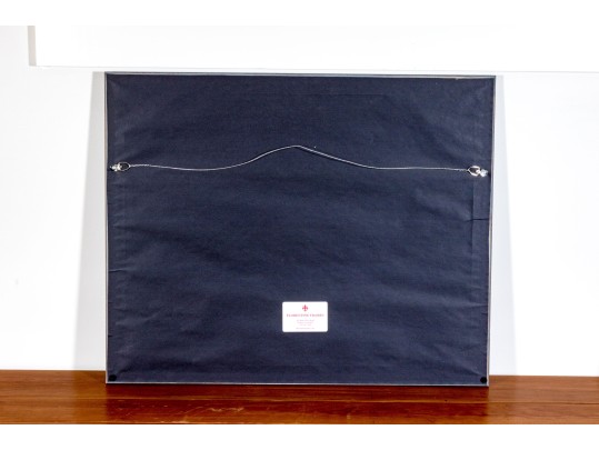 John James Audubon Antique Hand-Colored Print, 