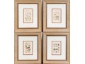 Set Of Four Antique Hand-Colored Prints Of Shells