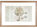 Antique Hand-colored Print, Globe