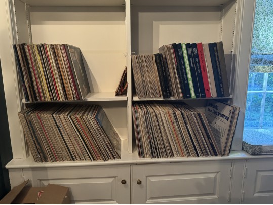 Assorted Collection Of 340+ Plus Records