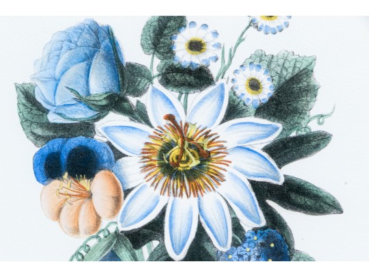 Set Of Two Hand-Colored Botanicals, 