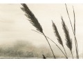 Pair Of Sutherland Watercolors On Paper, Landscapes
