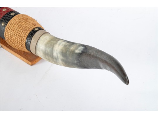 Mounted Longhorn Steer Horn Display