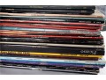Large LaserDisc Collection – Criterion, Cult Classics, Action, Sci-Fi & More (Approx. 70+ Discs)