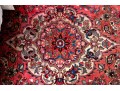 Hand-knotted Wool Carpet, 9'-8 1/2