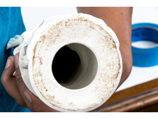 Blanc De Chine Figures Of Guanyin And Buddha