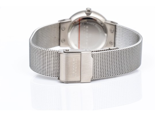 Skagen Stainless Steel Mesh Bracelet Watch, With Box