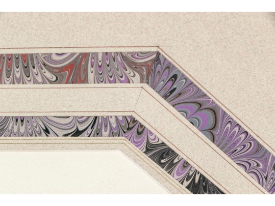 Two Colored Botanical Plates From Late 19th-Early 20th C. Publication- Orchids