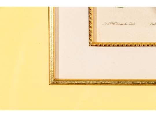 Group Of Four 19th C. Color Gilt Framed Botanicals 