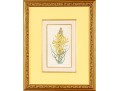 Group Of Four 19th C. Color Gilt Framed Botanicals 