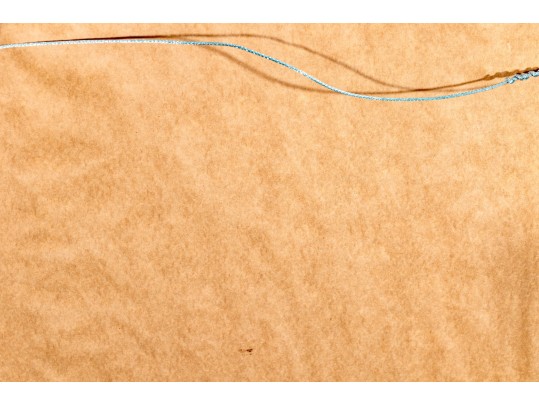 Pair Of Quality Prints Of Ferns With Pencil Marked Species