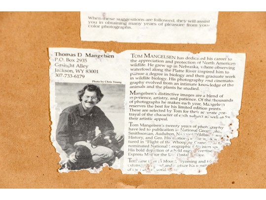 Thomas D. Mangelsen (American, B. 1946) 