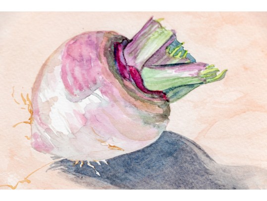 Set Of Six Burnell Signed Watercolor Paintings Of Vegetables, 2011