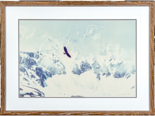 Thomas D. Mangelsen (American, B. 1946) 