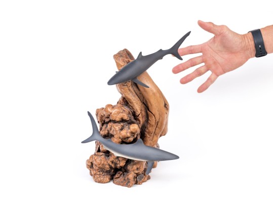 John Perry (American [CA], 20th C.) Sculpture Of Sharks On Burlwood