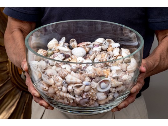 Stylish Carole Stupell Glass Center Bowl With Seashells