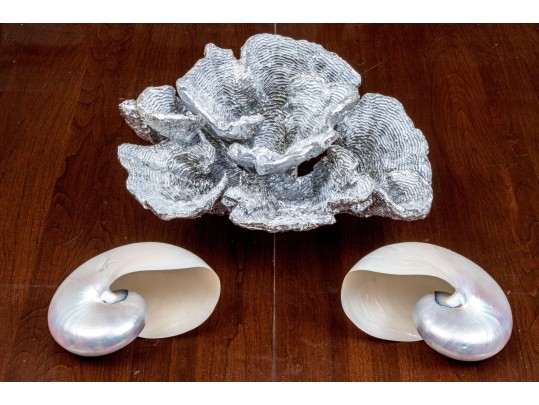 Chic Decor Lot Including Boxes, Shells, And Faux Coral