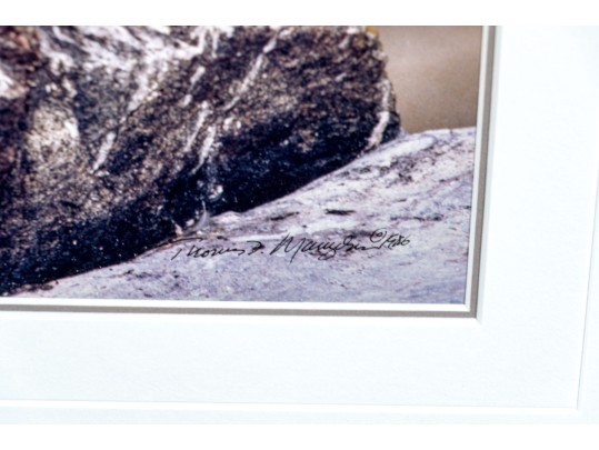 Thomas D. Mangelsen (American, B. 1946) 