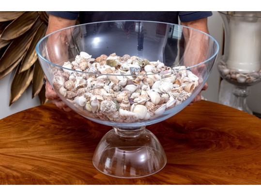 Stylish Glass Pedestal Center Bowl With Seashells