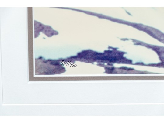 Thomas D. Mangelsen (American, B. 1946) 