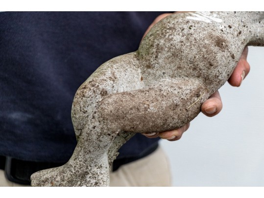 Cast Stone Reclining Frog And Copper Dragonfly