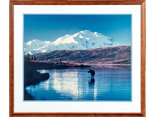 Thomas D. Mangelsen (American, B. 1946) 