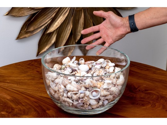 Stylish Carole Stupell Glass Center Bowl With Seashells