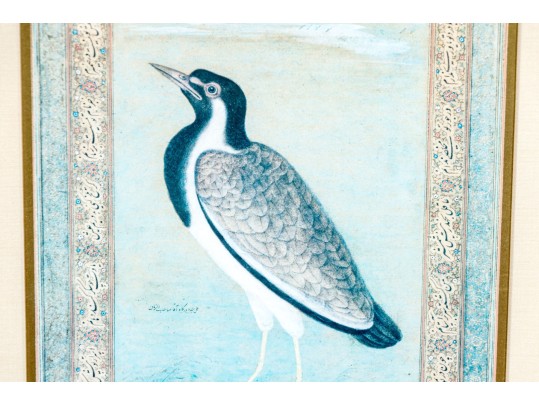 After Ustad Mansur (Indian, D. 1624) 