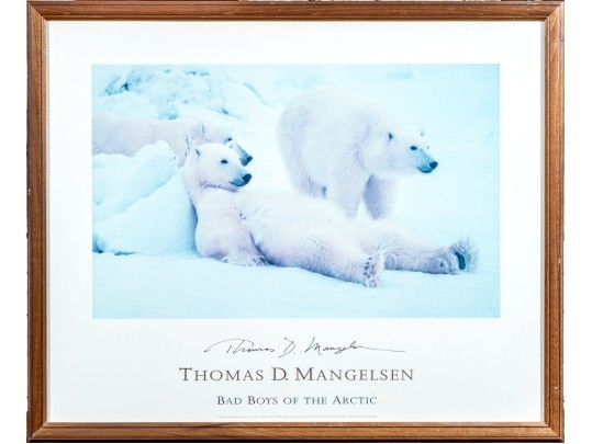 Advertisement Print For Thomas D. Mangelsen's 