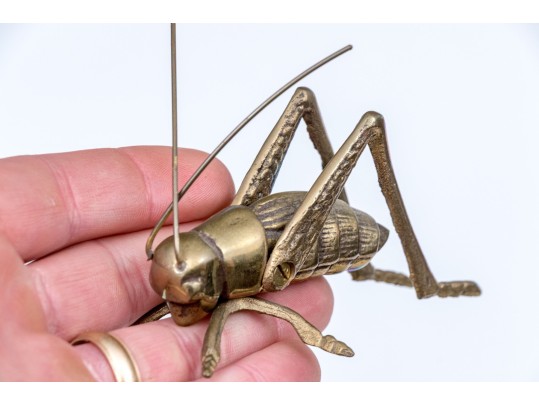 Eclectic Collection Of Table Top Items With Barometer